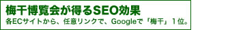 ߴSEO