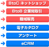 BtoCͥåȥåBtoBȴּŻҥ󥱡eCRM