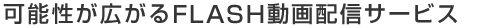 ǽFLASHưۿӥ